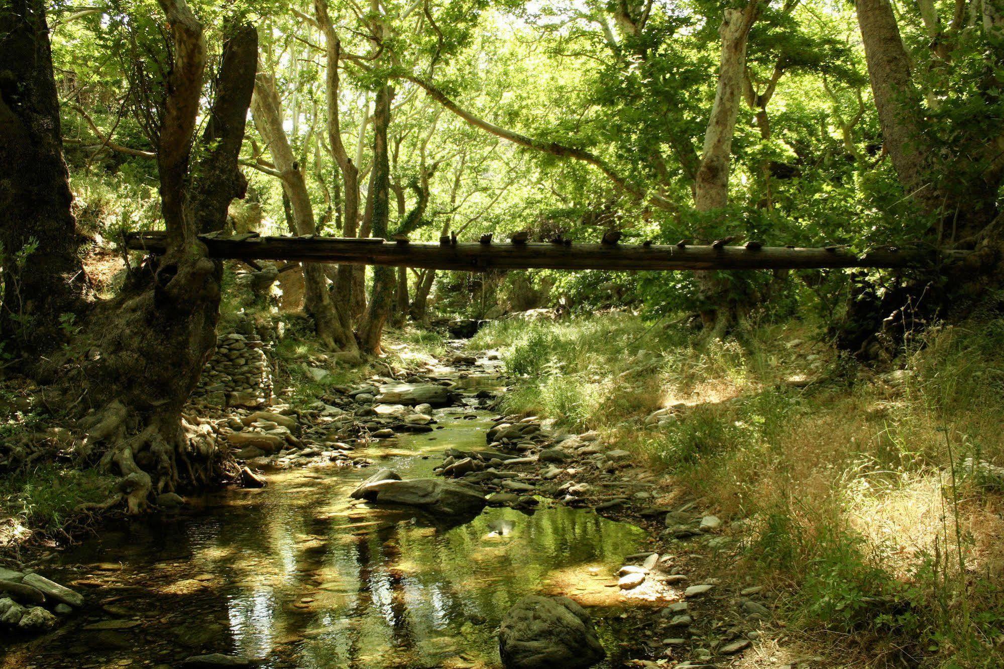 Onar Andros Otel Achla Dış mekan fotoğraf