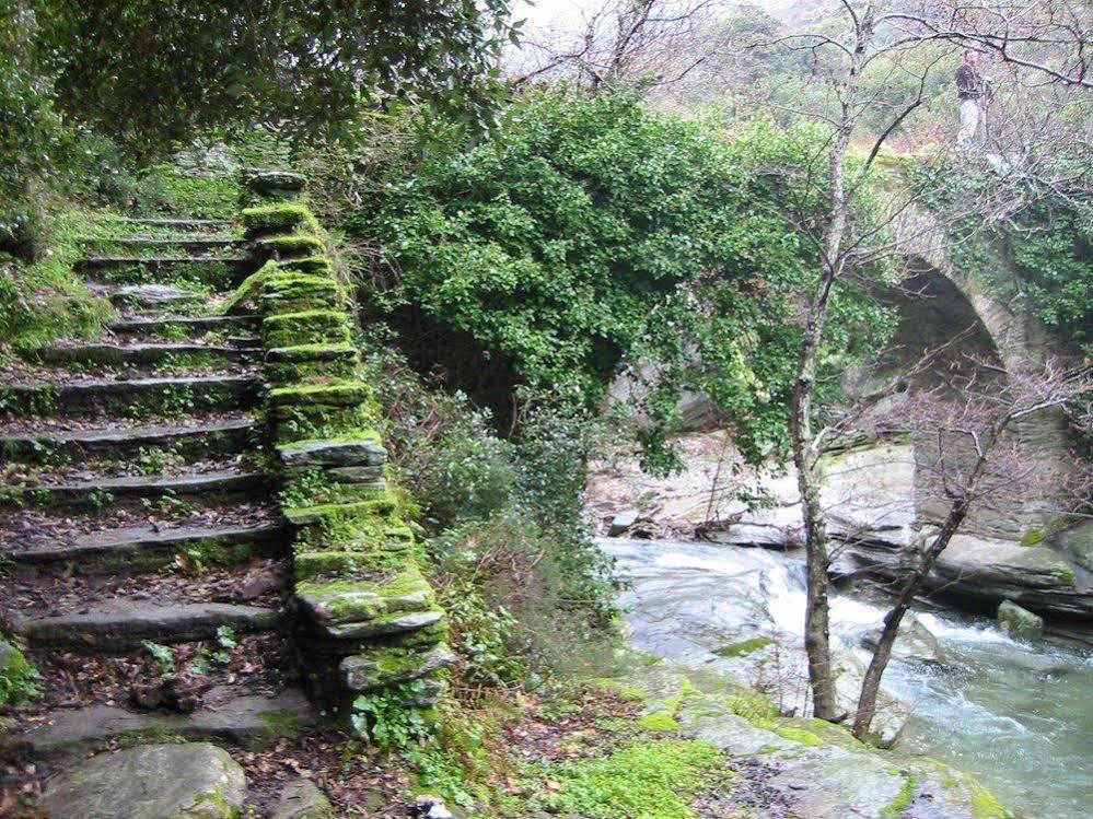 Onar Andros Otel Achla Dış mekan fotoğraf